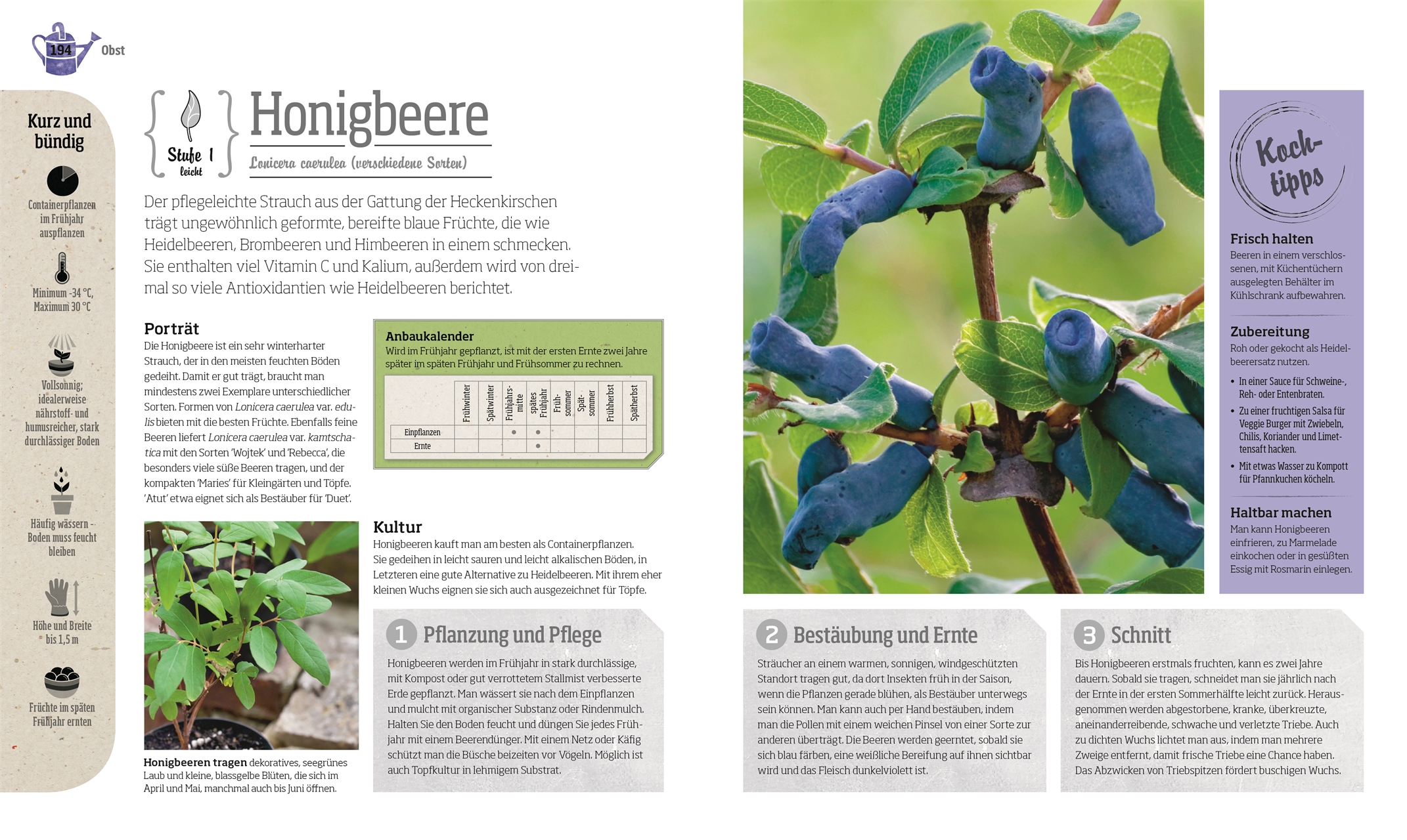 Pflanze lieber ungewöhnlich Neue Obst und Geüsearten für den
Küchengarten PDF Epub-Ebook