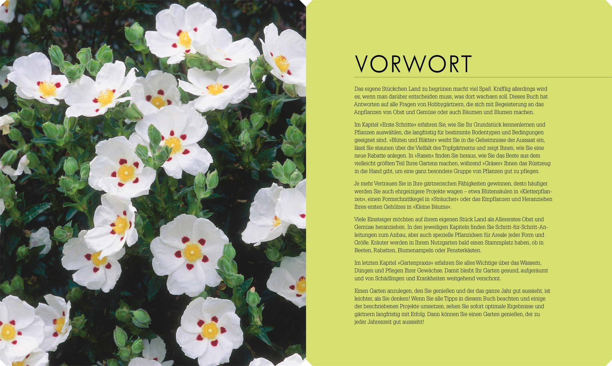 So Geht Garten Dk Verlag