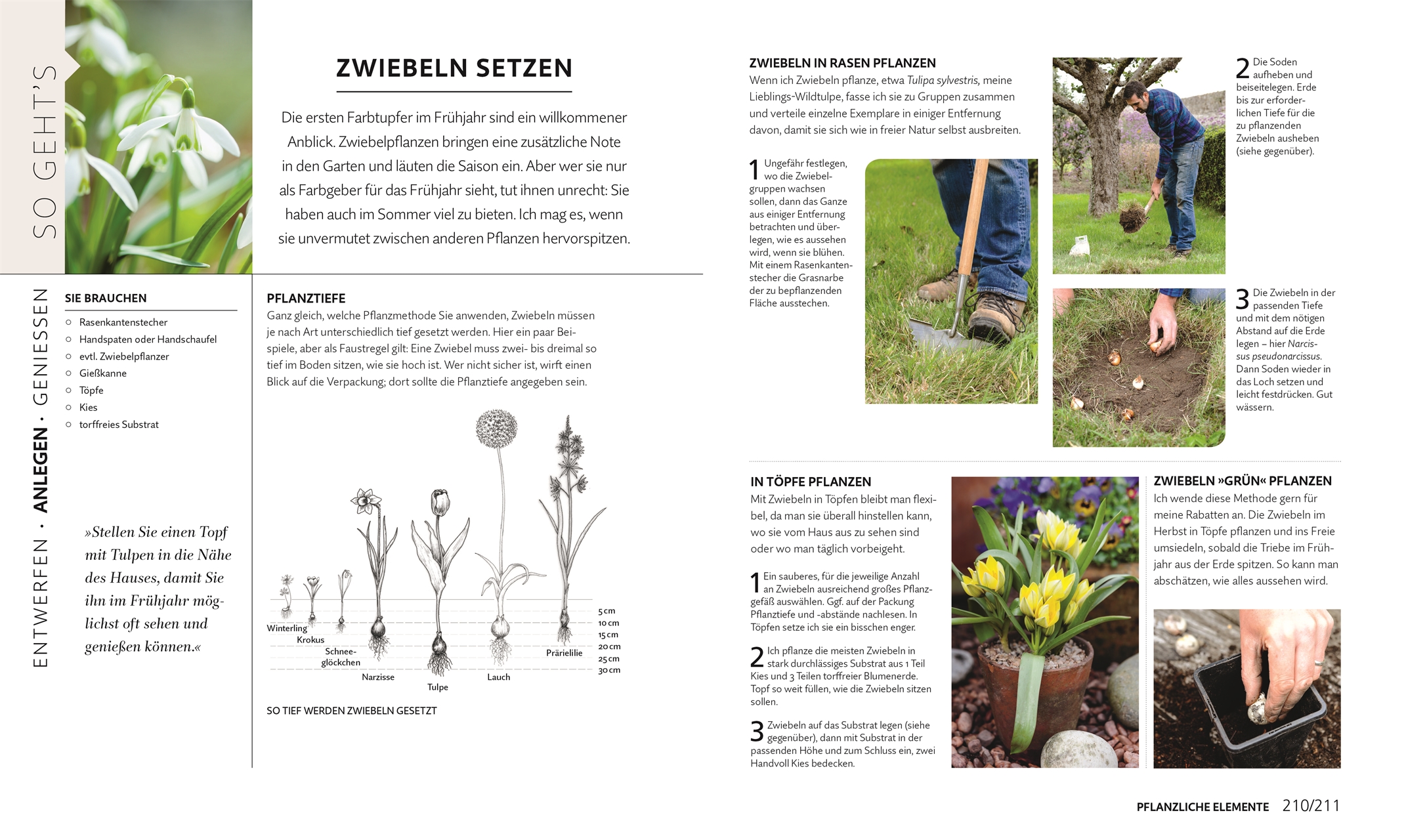 So geht Garten Die Basics für Einsteiger PDF