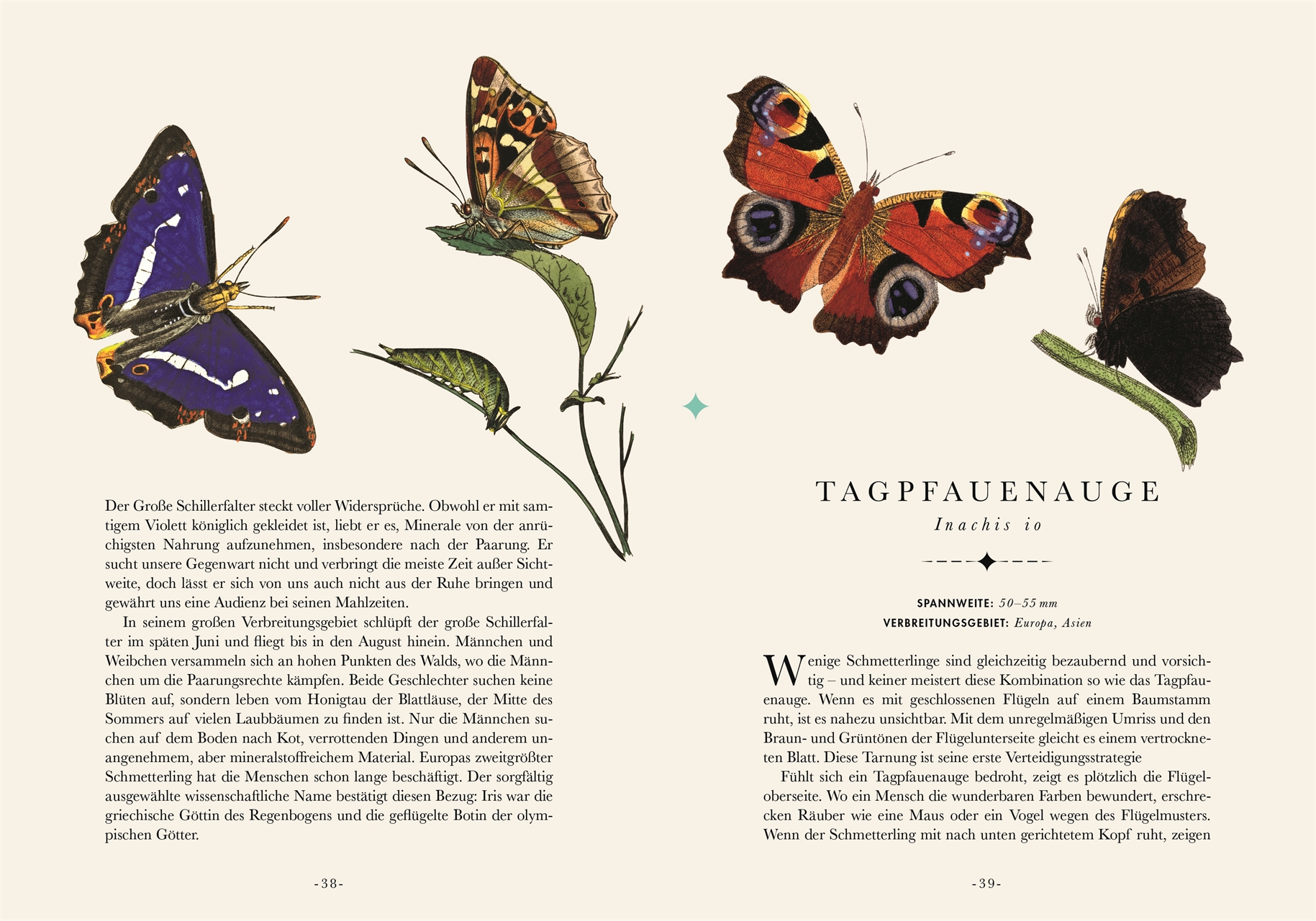 Die Schönsten Schmetterlinge der Welt: Ausmalbilder für Groß und Klein!