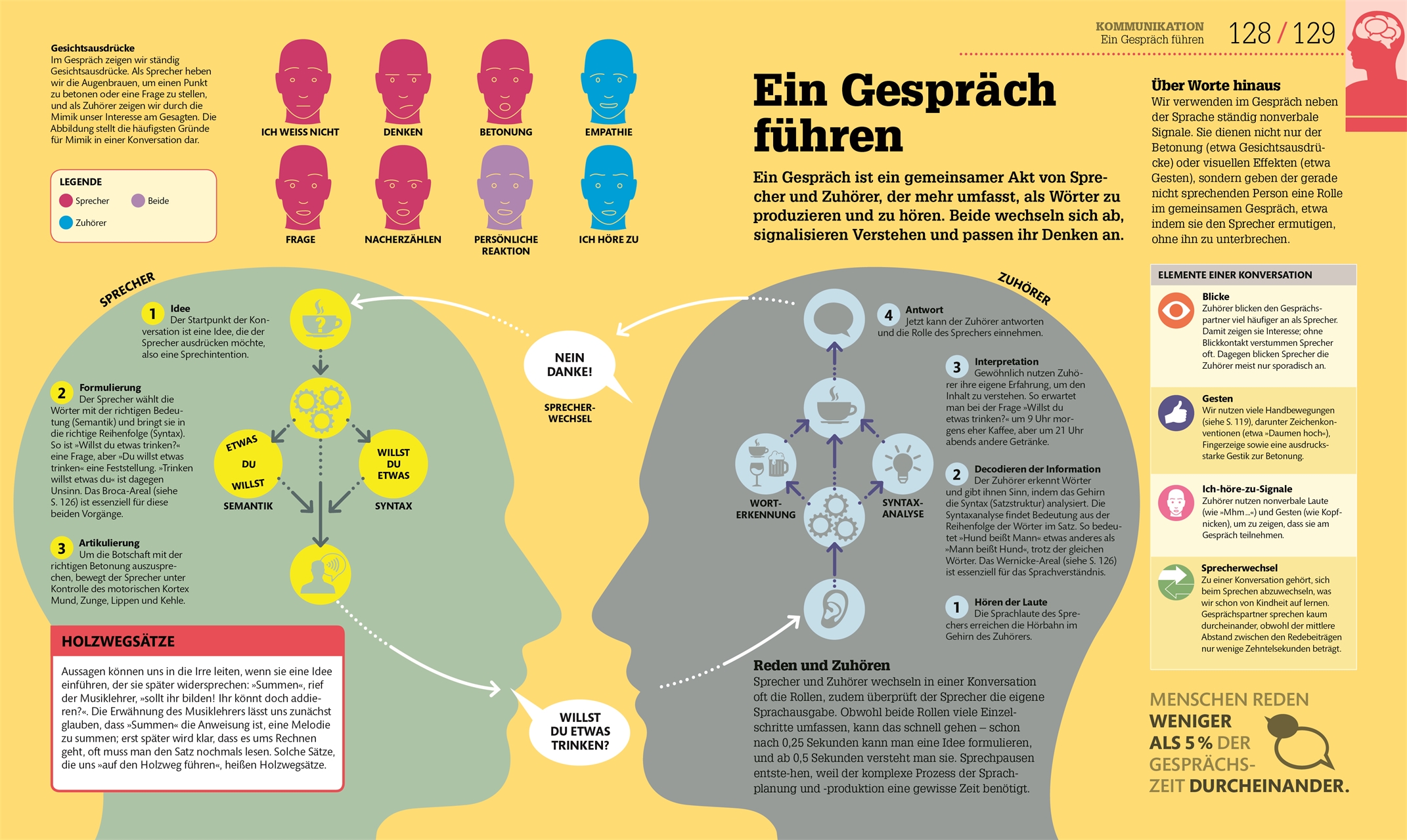 Dkinfografik Das Menschliche Gehirn Und Wie Es Funktioniert