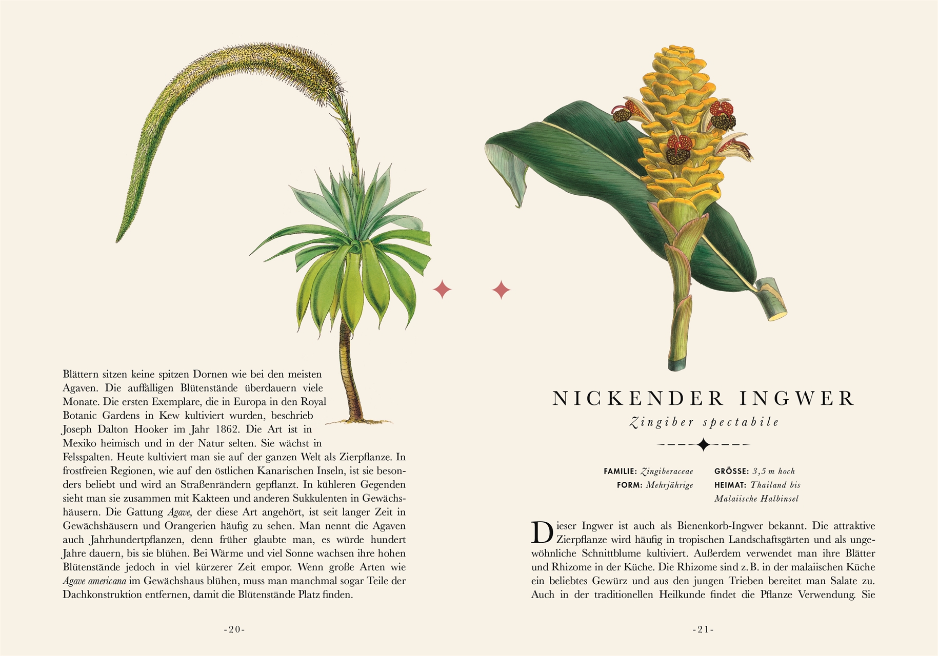 Naturelove Die 50 schönsten exotischen Pflanzen der Welt DK