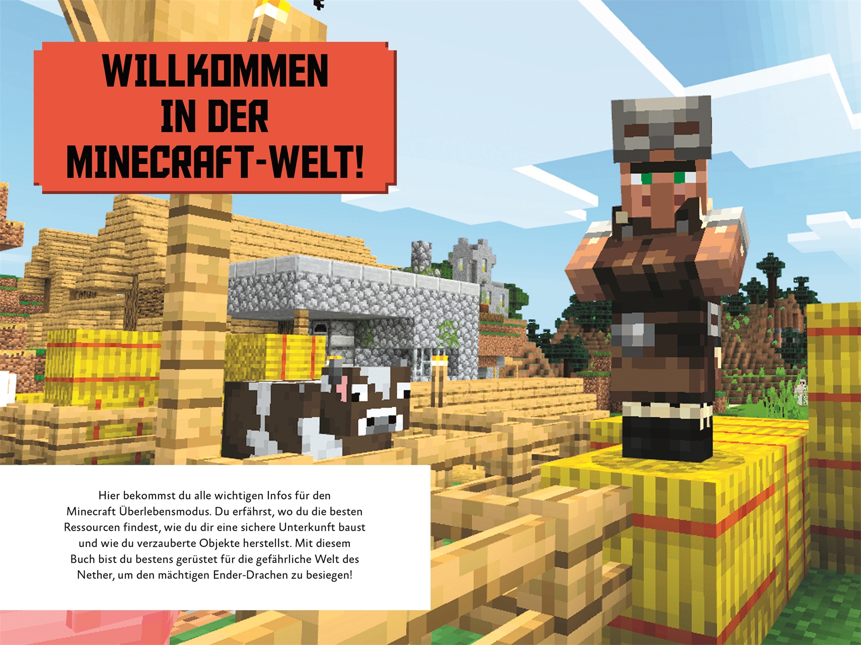 Unabhangig Und Inoffiziell Minecraft Gewinner Guide Dk Verlag