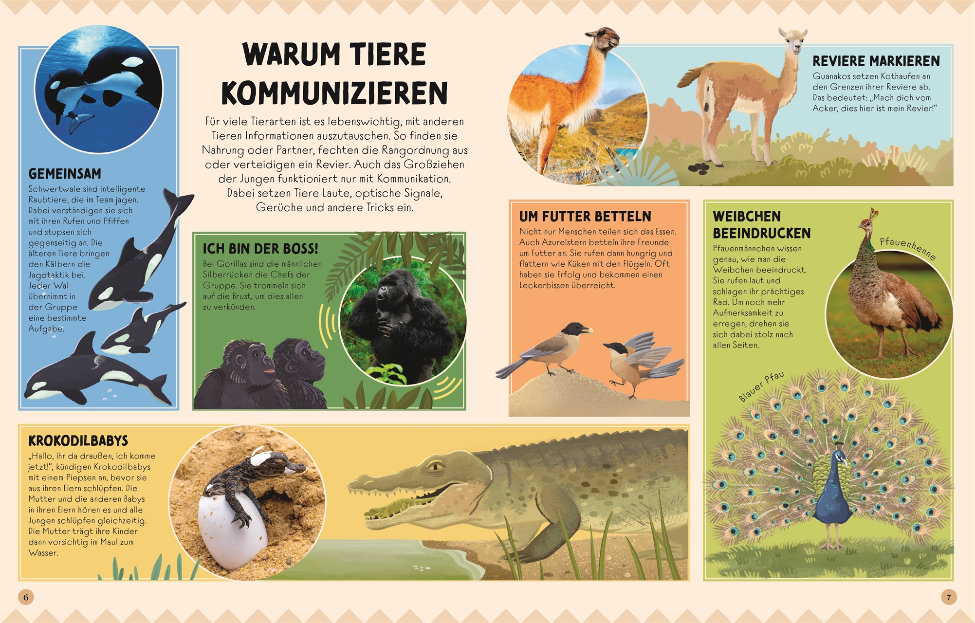 Die Sprache der Tiere - Laute, Schallwellen & mehr